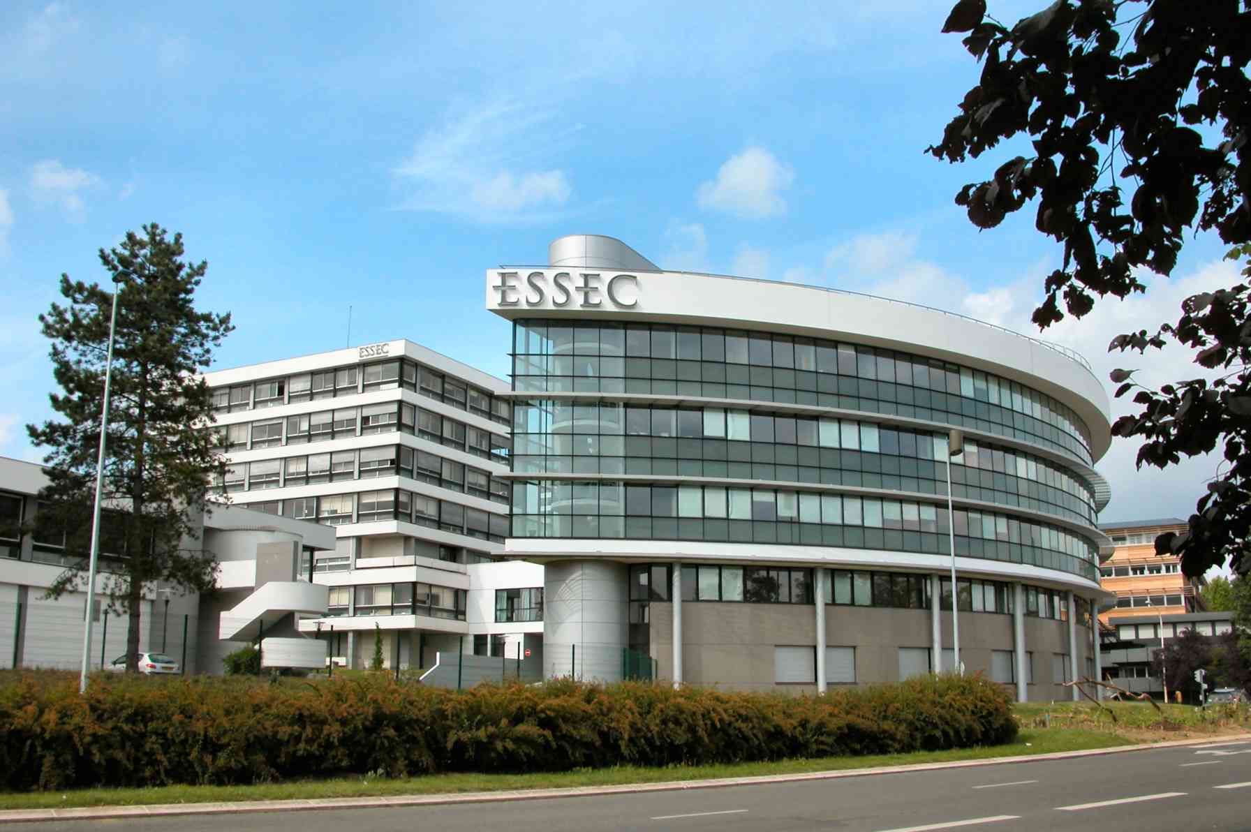 essec mim fees